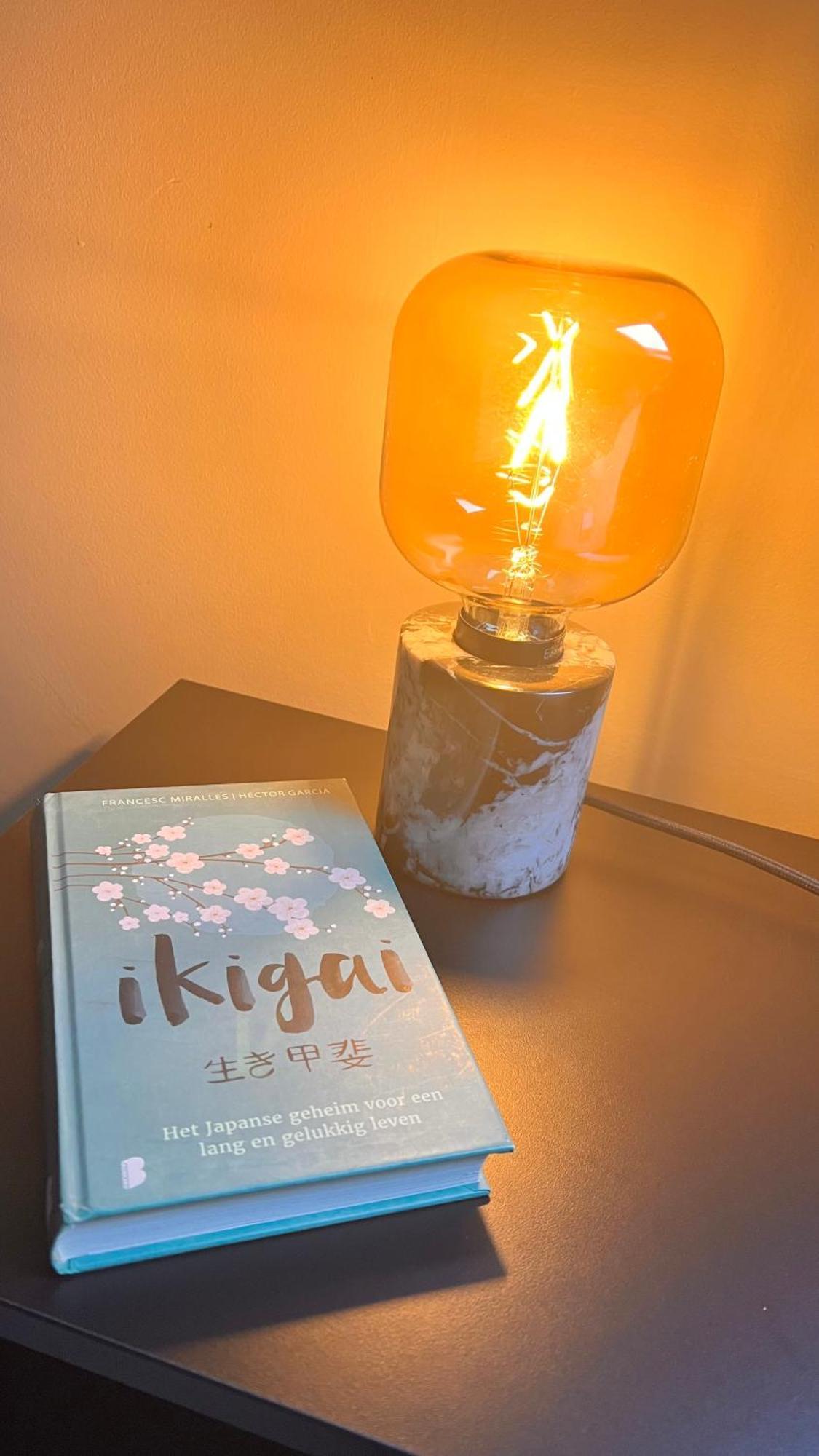 Ikigai Bed & Breakfast Oud-Turnhout Room photo
