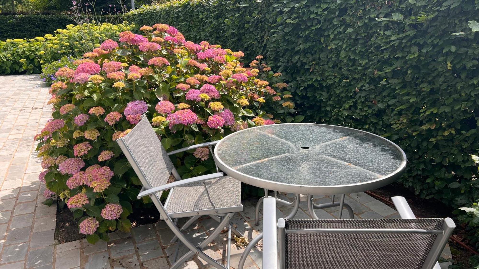 Ikigai B&B - Wellness Oud-Turnhout Exterior photo